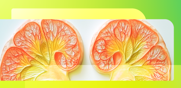 Ингибиторы DPP4: влияние на почечно-клеточную карциному