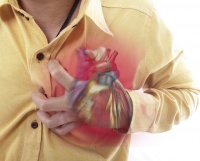 Снижения уровня холестерина недостаточно для снижения гиперактивности иммунной системы.