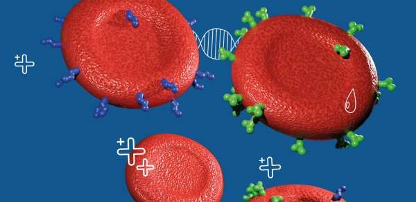 «Золотой стандарт» иммуногематологии