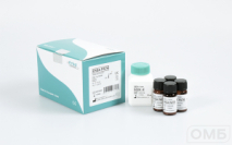 ЭРБА Патология