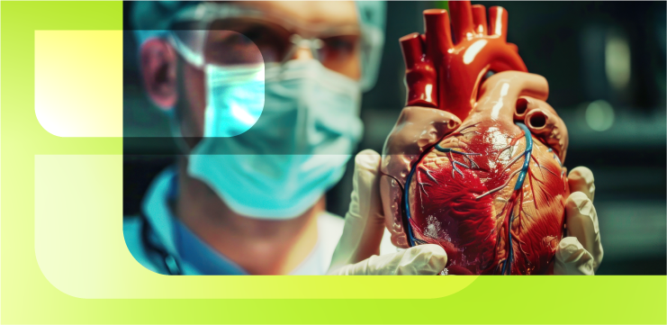 Аторвастатин и витамин D: двойной удар по атеросклерозу