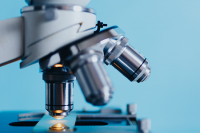 Биомаркеры волчаночного нефрита