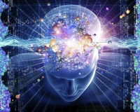 Вкусовые и болевые сигналы имеют общую нейронную схему.