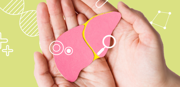 Связь между физической активностью и аминотрансферазами