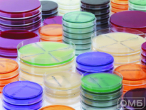 ETEST® цефокситин