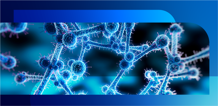 Вспышки инфекций, вызванных штаммами Candida auris: анализ и прогноз (часть 2)