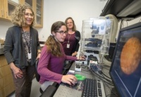 Форма нормальных эритроцитов зависит от сократительных белков