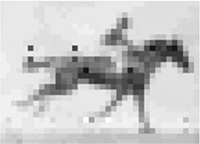 Свет, камера, CRISPR!