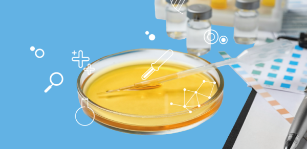 Выбор между посевом мочи и ПЦР