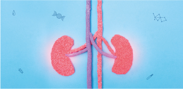 Креатинин в сыворотке крови: все не так просто