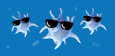 Тромбоциты – маленькие помощники с большими возможностями