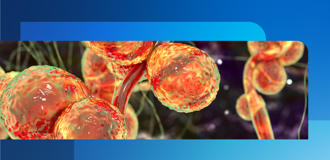 Вспышки инфекций, вызванных штаммами Candida auris: анализ и прогноз (часть 5)