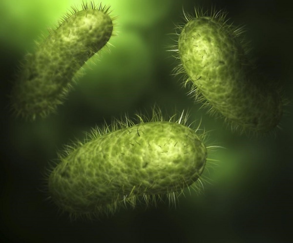 Ученые работают над использованием нанотехнологии в бактериологических исследованиях 