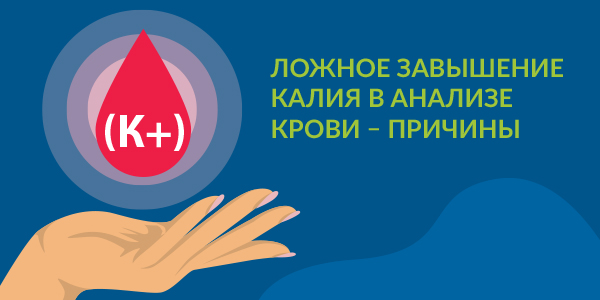 Ложное завышение калия в анализе крови - причины