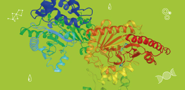 Креатинфосфокиназа-MB: может ли часть быть больше целого?
