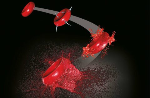 Влияние гемолиза на параметры гемостаза in vitro