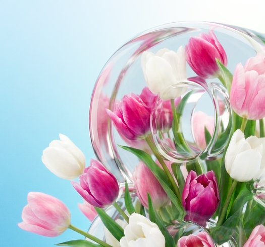 Поздравляем с 8 Марта!