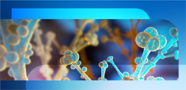 Вспышки инфекций, вызванных штаммами Candida auris: анализ и прогноз  (часть 1) 