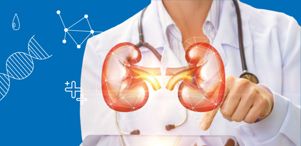 Цель определения альбумин-креатининового соотношения