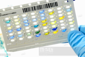 GN - Карты для идентификации клинически значимых грамотрицательных палочек