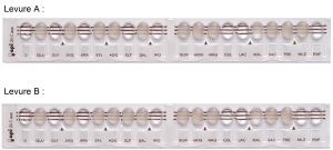 api 20 C AUX - Набор для идентификации грибов