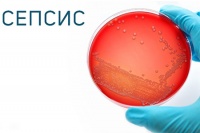Как программа лечения сепсиса спасает жизни и снижает расходы