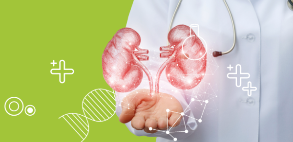 Информативность суточной и разовой порций мочи при амилоидозе почек