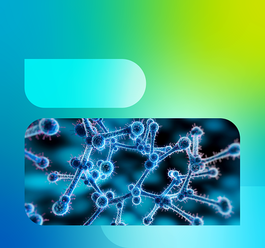 Современные решения для копрологических исследований уже в вашем городе!