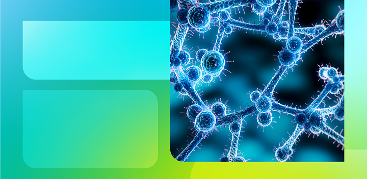 Вспышки инфекций, вызванных штаммами Candida auris: анализ и прогноз (часть 4) 