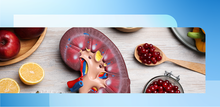 Избыток витамина С – одна из возможных причин почечной недостаточности