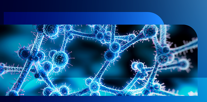 Вспышки инфекций, вызванных штаммами Candida auris: анализ и прогноз (часть 2)